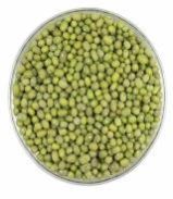 Green Millet