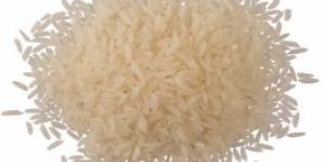 1121 White Sella Rice
