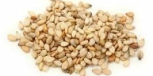 Sesame Seeds