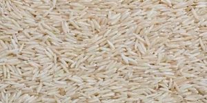 Economy Basmati Rice