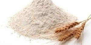 Wheat Flour