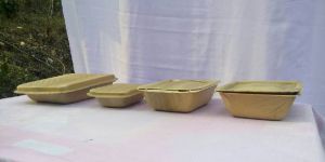Areca Leaf Plates