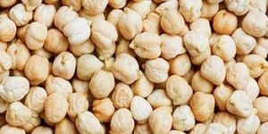 White Chickpeas