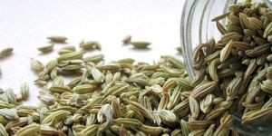 Fennel Seeds