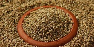 Carom Seeds