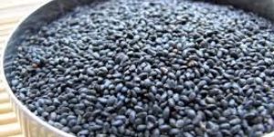 Nigella Sativa Seeds