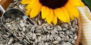 Sunflower Seeds
