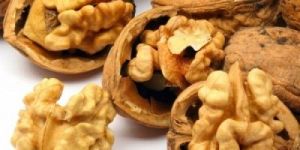 Walnut Kernels