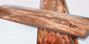 Bone Knife Handle Scale