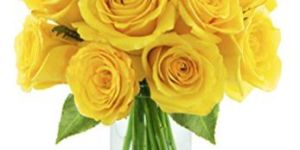 Fresh Yellow Cut Rose Flowers