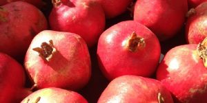 Fresh Pomegranate