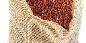 Finger Millet Seeds