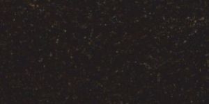 Indian Impala Granite Slabs