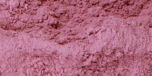 Dehydrated Red Onion Powder