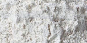 Dehydrated White Onion Powder