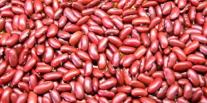 Red Kidney Beans