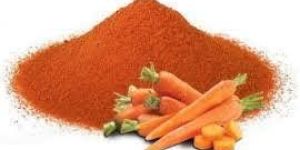 Dehydrated Carrot Powder