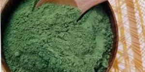 Dehydrated Spinach Powder