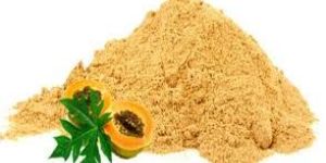 Dried Papaya Powder