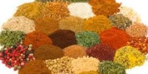 Dried Vegetable Powder