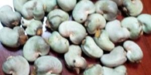 Raw Cashew Nuts