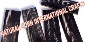 White Striks Buffalo Horn Plates