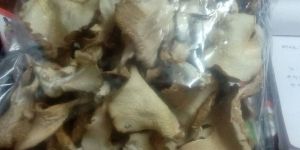 Dry Oyster Mushrooms