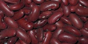 Dark Red Kidney Beans
