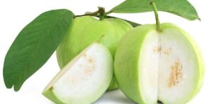 Fresh Guava