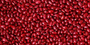 Small Red Kidney Beans
