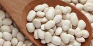Small White Kidney Beans