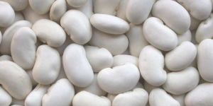 Big White Kidney Beans