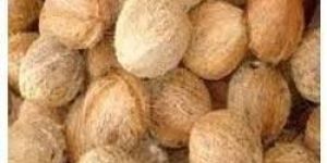 Fully Husked Coconut