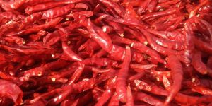 Dry Red Chilli