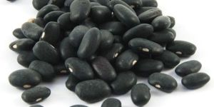 Black Kidney Beans