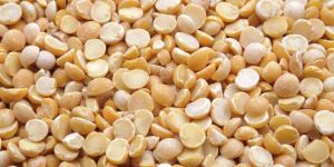 Dried Yellow Split Peas