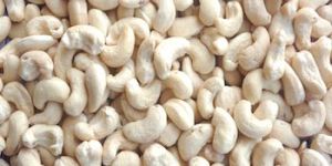 W 320 Grade Cashew Kernel