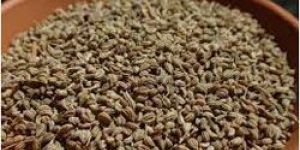 Carom Seeds