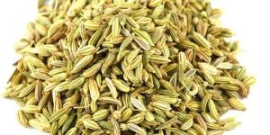 Fennel Seeds