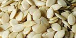 Magaj Seed