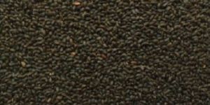 Basil Seeds