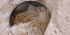 Wheat Flour
