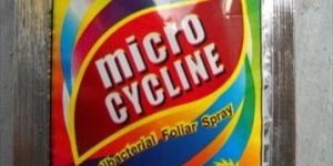 ANTIBACTERIA KILLER FOLIAR SPRAY