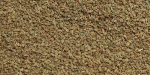 Ajwain Seeds