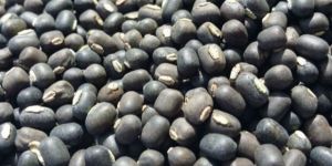 Black Urad Dal