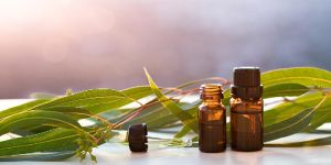Eucalyptus Oil