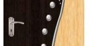 Designer Laminated Door