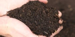 Organic Vermicompost Fertilizer