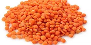 Red Lentils