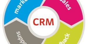 Dynamic CRM Services